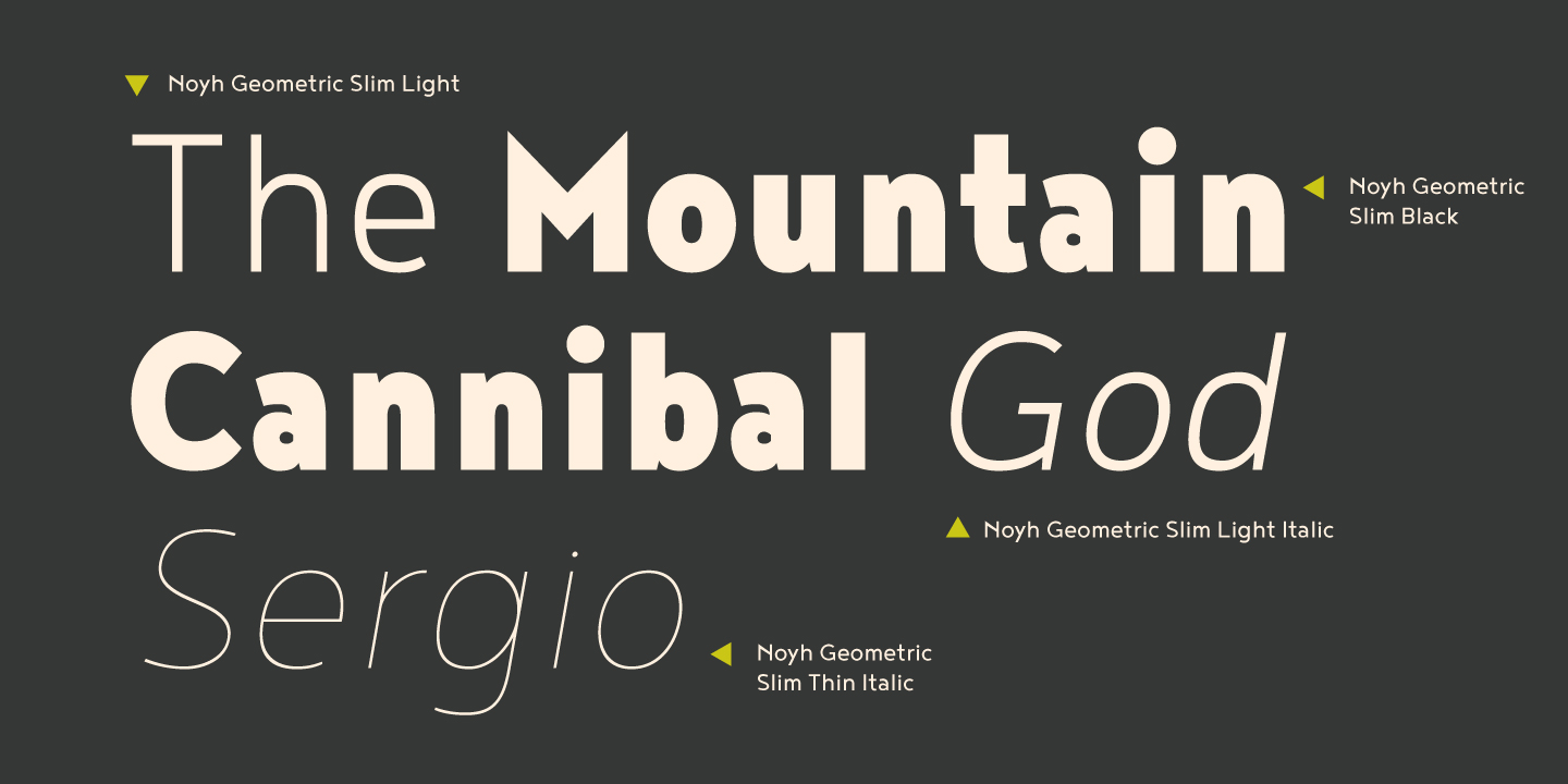 Noyh Geometric Slim Heavy Italic Font preview